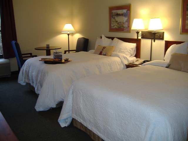 Wyndham Garden Greenville / Spartanburg Airport Szoba fotó